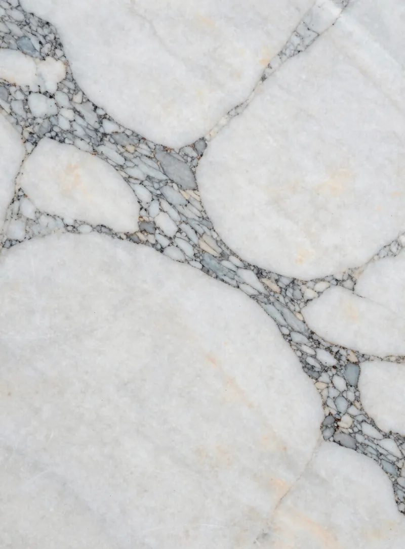 Calacatta marble with grey veining